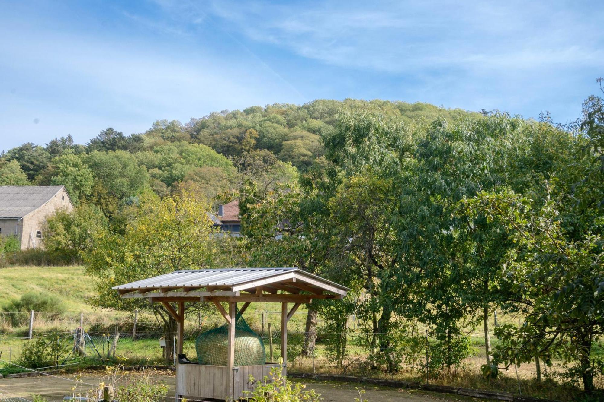 Gasthaus Zur Burgschaenke Ξενοδοχείο Aremberg Εξωτερικό φωτογραφία